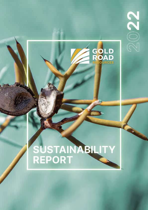 A report cover for the Sustainability Report