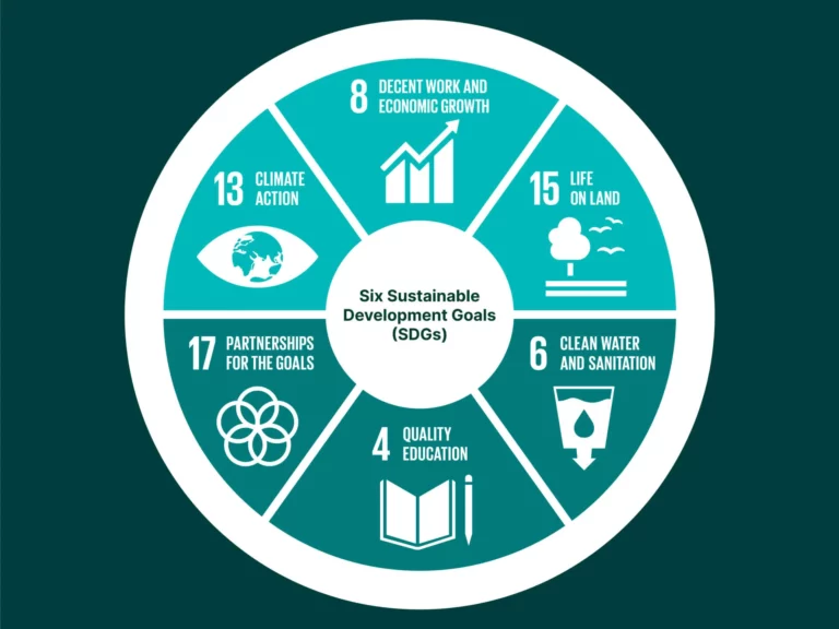 A circle graphic representing the 'Six Sustainable Development Goals (SDGs) with sections for decent work and economic growth, life on land, clean water and sanitisation, quality education, partnerships for the goals and climate action.